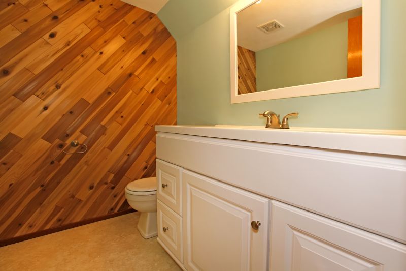 Bathroom Shiplap Paneling